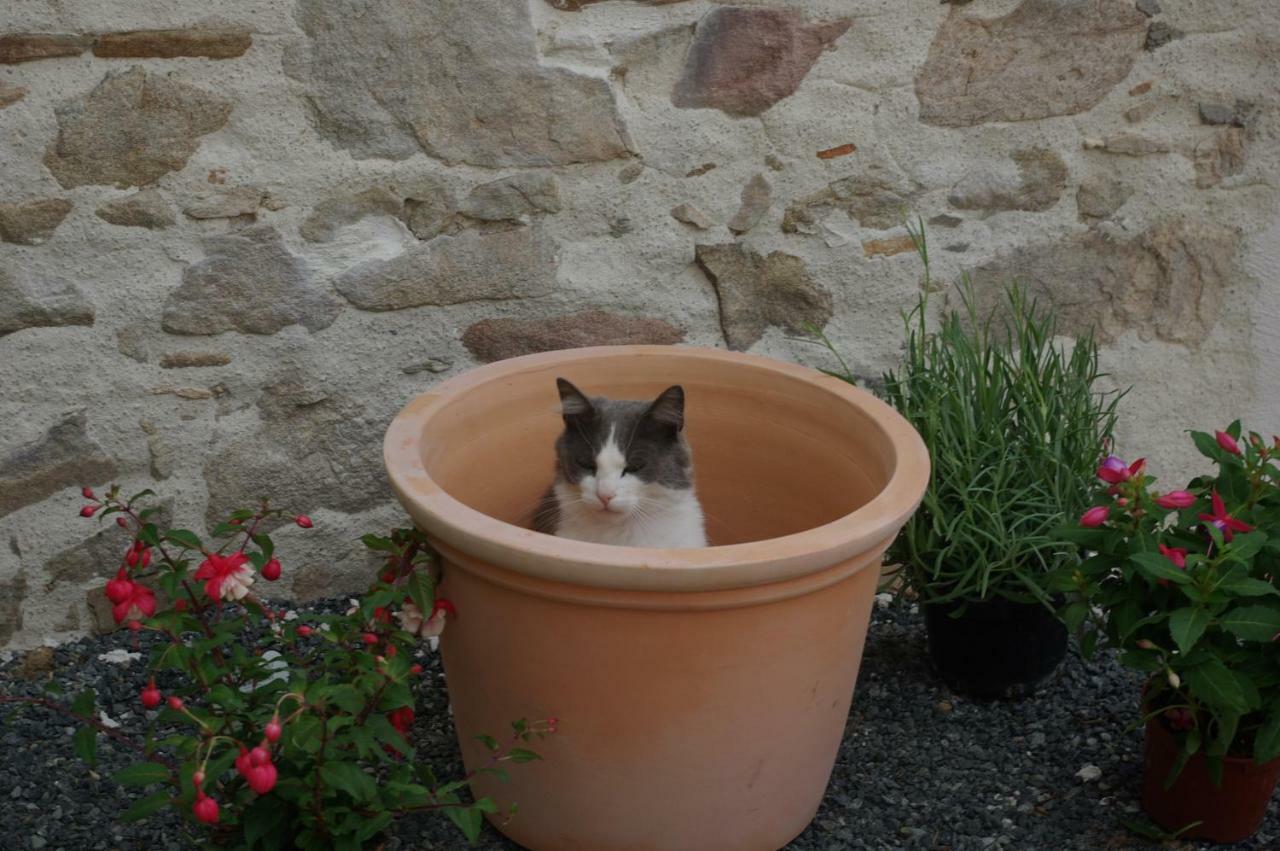 Les Trois Etangs Bed & Breakfast Saint-Viaud ภายนอก รูปภาพ